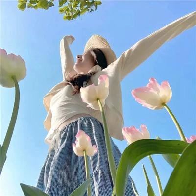钢铁飞龙之奥特曼崛起